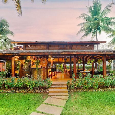 Tropicana Resort & Spa Alibaug Exterior foto
